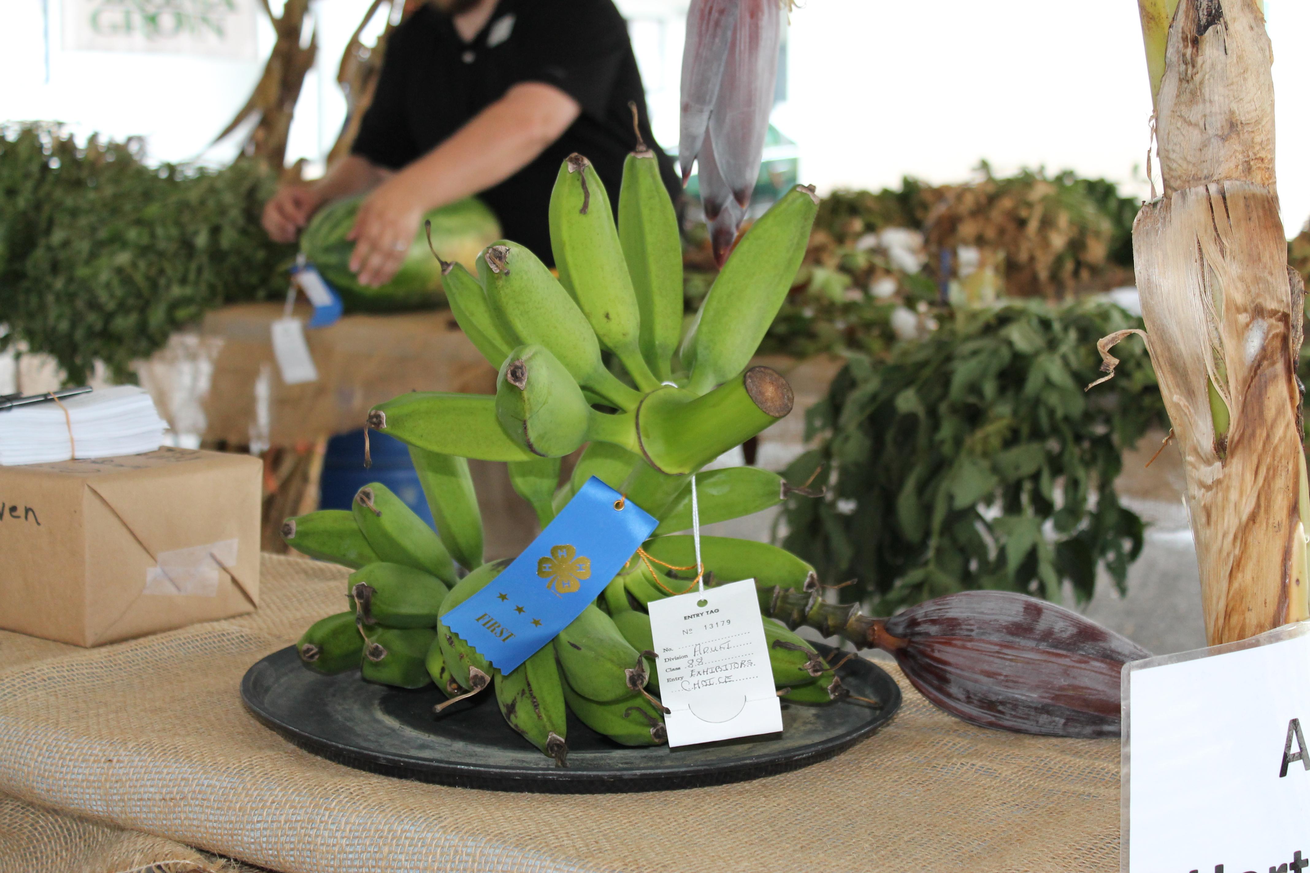 County Fair 2012 - Opening Day 017